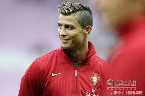 养多肉的小秘密：旋风罗西玛多肉特点解析