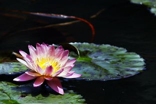 空气湿度也要注意