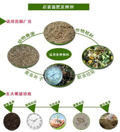 鸡粪腐熟后宜作蔬菜基肥，肥效高