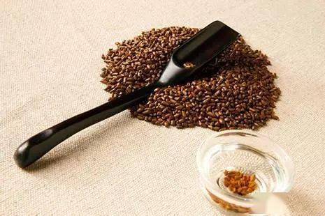 菊花决明子桑葚茶，常饮能护眼降脂