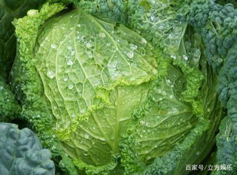 打药时间， 这么选