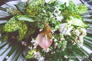 绿意盎然的社交园地花友群，如何吸引梗多花卉爱好者加入？