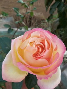 烟雨行舟，寒风入骨