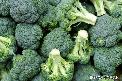 容易消化的细纤维蔬菜，如南瓜、胡萝卜、西蓝花等