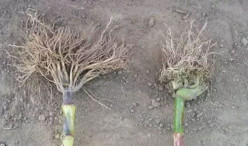 使用方法，简单易懂