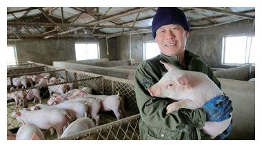 产房保育猪拉稀怎么办？有哪些具体处理方法？