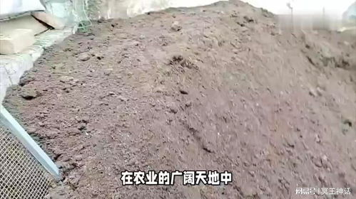 鸡粪发酵不用愁，只需简单三步
