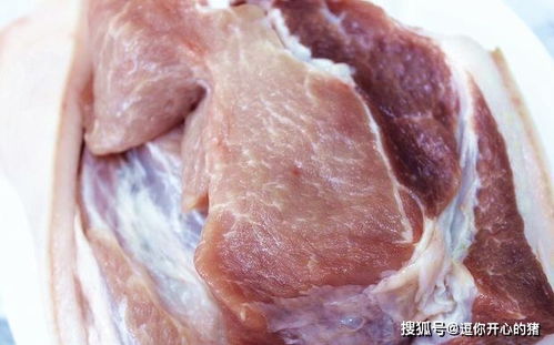 猪腹泻难分辨？鉴别腹泻就看这几招