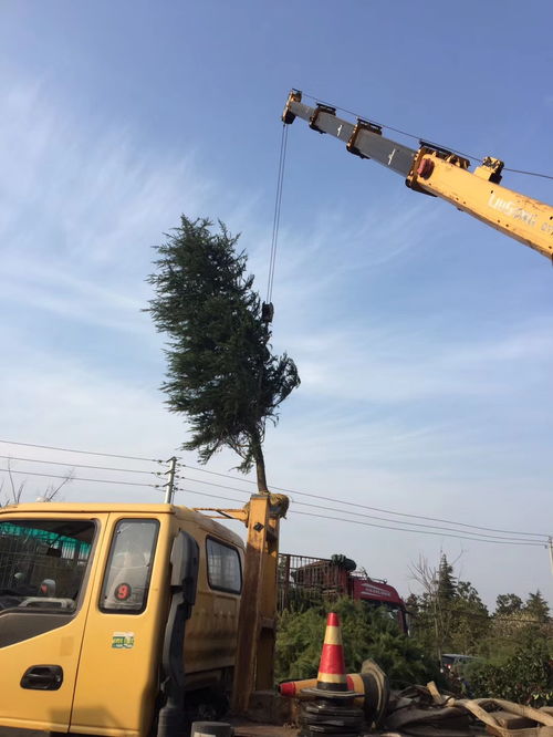 装车问题与报价