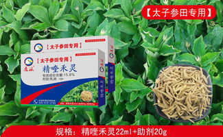 杂七杂八谈价格