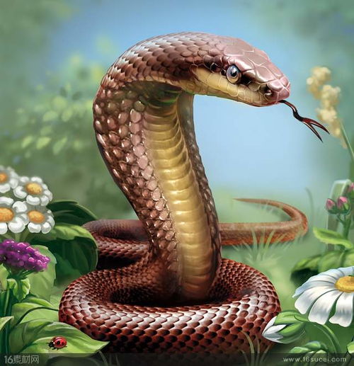 蛇对气味hen敏感， 农药可驱蛇