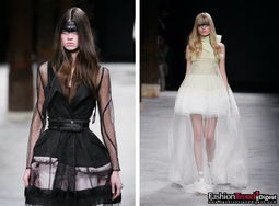 女士时装月季：花中时尚达人