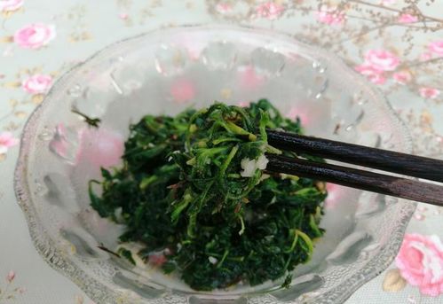 白蒿最佳采摘时间为春季，需注意避免雨天和病虫害