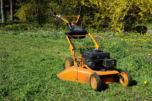 除草剂一扫光，哪款针对杂草效果Zui好？我来告诉你！