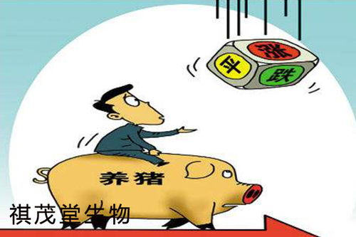 梁山土杂猪价格持续走低，养殖户如何降低成本实现盈利？