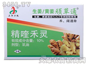 大姜苗前除草，这些除草剂你用对了吗？