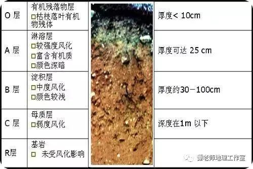 风化土属于哪种土壤类型？其酸性或碱性特征是怎样的