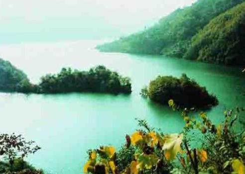 白水江自然保护区