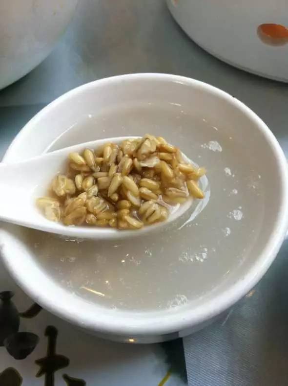 青稞和小麦哪个更耐寒？