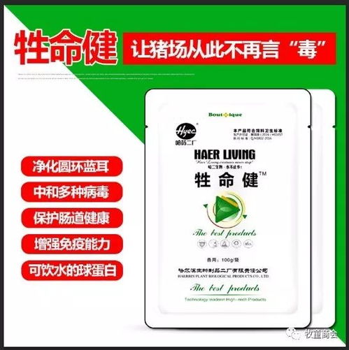 生猪养殖必备：常见兽药联合用药有哪些