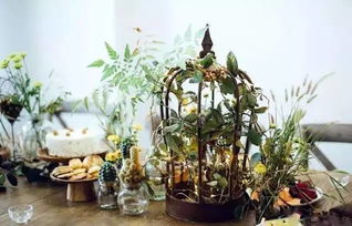 栽培基质与容器，要选对