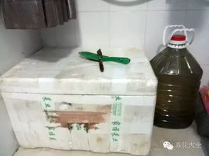 泡沫箱发酵后如何保存才能延长保质期