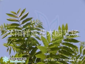 错过时机，悔不当初