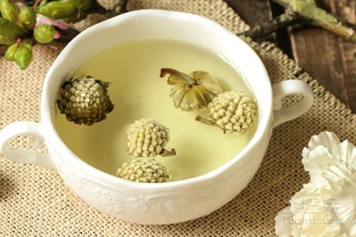 绿萝花茶有什么功效？它的作用你知道吗