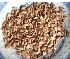 不同品种， 价格是否各异