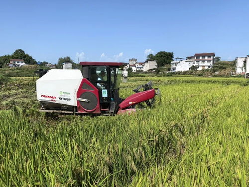 选购水稻收割机，关注性能、品牌与售后