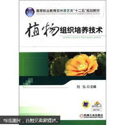 植物组织有哪些？它们是如何协同工作的