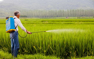 Ortho Home Defense：室内外通杀