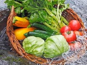 蔬菜上禁止使用的农药有哪些