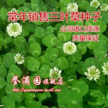 冷季型草坪的耐寒嫩力