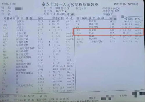 后来啊解读——是简单明了还是云里雾里？