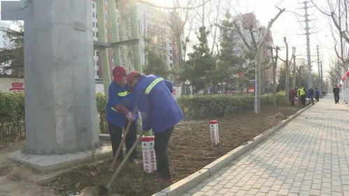 一、绿化养护，就像是给城市穿上一件绿衣裳