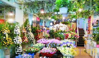 三、 案例分析：某二线城市花卉店主小王分享