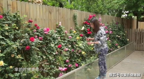 住宅门前有哪些禁忌