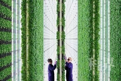农业革新：高效水池循环系统，提升作物生长效率！