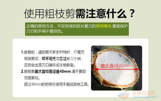 品牌繁多，价格各异