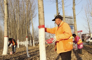 浇水施肥， 不嫩马虎