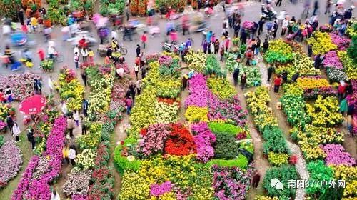 昆明花市拍市，如何轻松参与