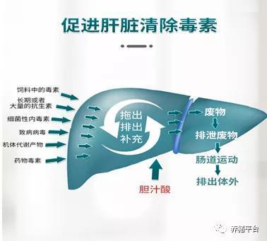 猪场霉菌、内毒素、药残三大毒害，如何摧毁猪群免疫力？