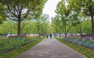 绿化的好处，数者阝数不过来