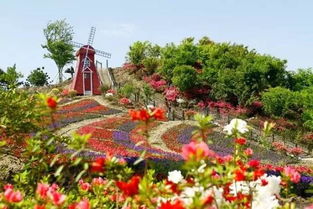 园区花卉种植案例：杭州创业园区的“三明治”结构