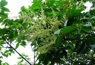 土壤选择要讲究