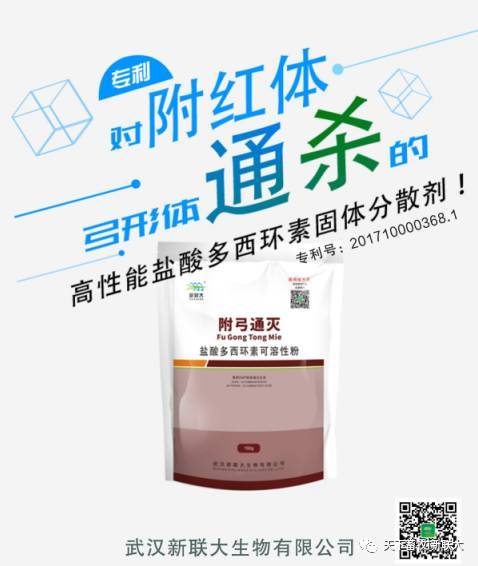 科学选药，高效驱虫