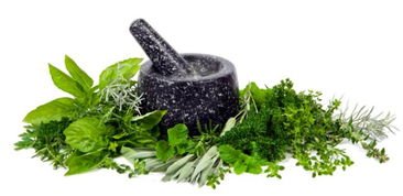 香草对生态的贡献