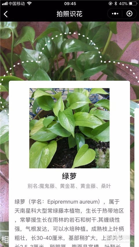 全民参与， 保护生物多样性