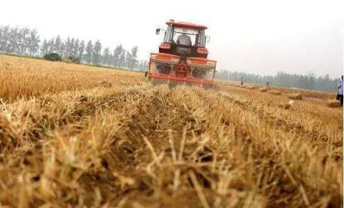 稀释倍数的重要性